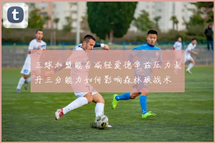 三球加盟能否减轻爱德华兹压力麦丹三分能力如何影响森林狼战术