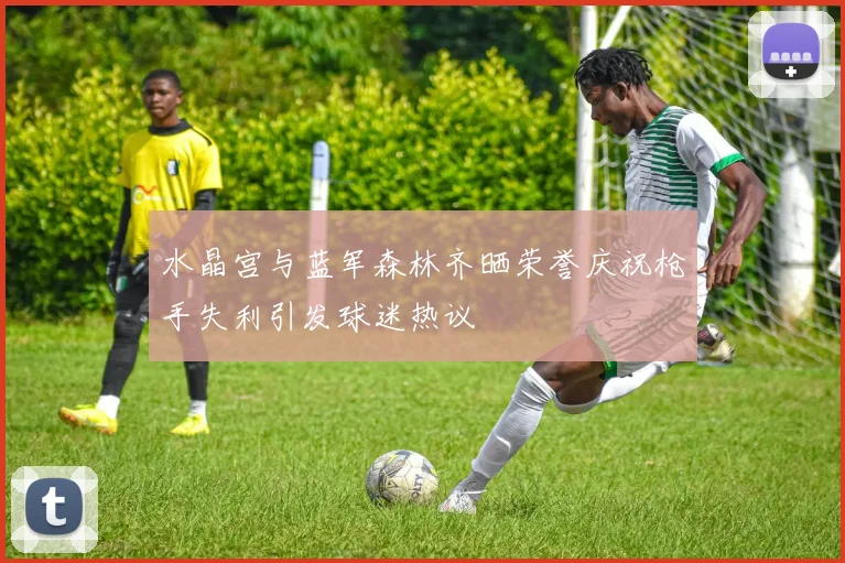 水晶宫与蓝军森林齐晒荣誉庆祝枪手失利引发球迷热议